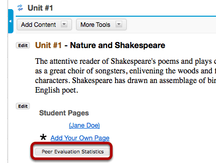 Click Peer Evaluation Statistics.