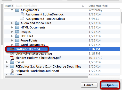 Locate and select the video file on your computer.