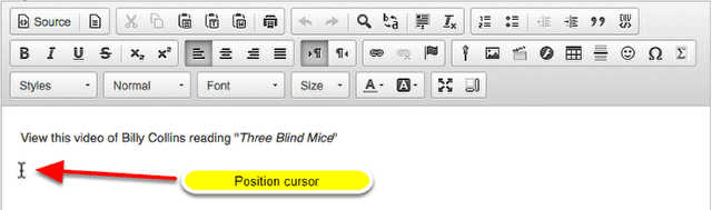 In the text box, position your cursor where you want to embed the mp4 video.