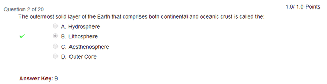 Correct answers are marked with a green checkmark.